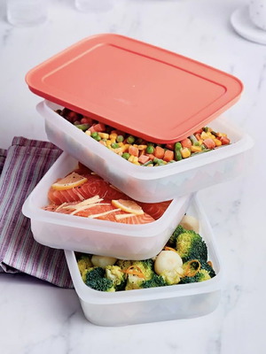 Tupperware Compact Freezing Set 675ml 3pcs new