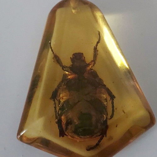 Pendant from synthetic amber with beetle inside like new