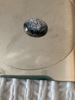 Dalmatian Jasper natural loose stone 8.5 cts new