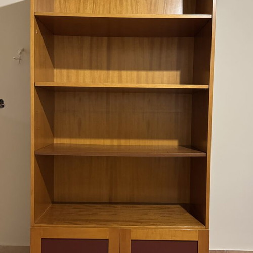 Living room unit with cupboard and 3 shelves