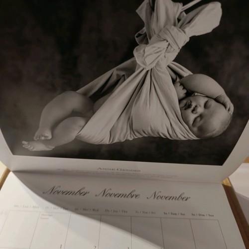Anne Geddes 2006 calendar like new with photographic material