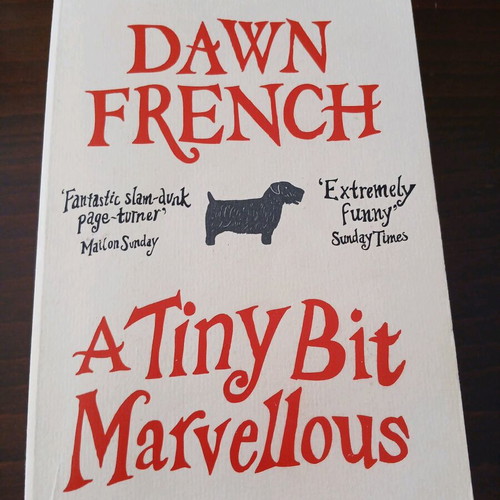 A Tiny Bit Marvellous book used in very good condition