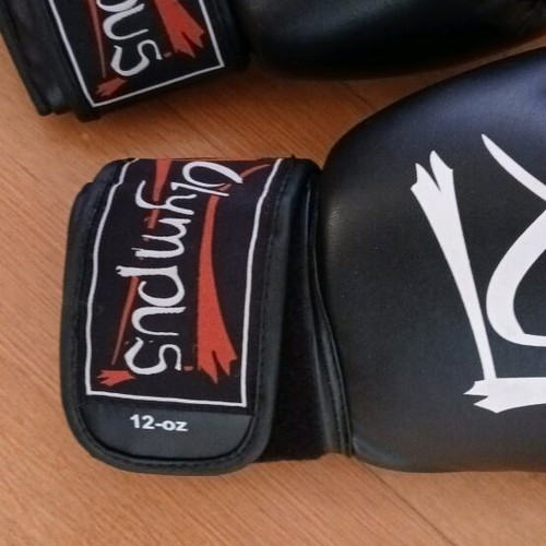Olympus boxing martial arts gloves 12 Oz like new