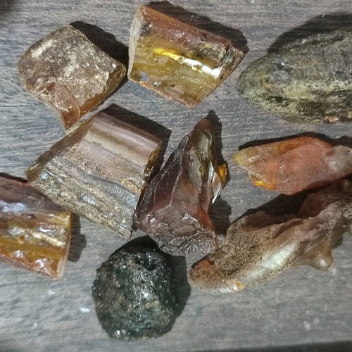 Low pressure amber unprocessed, 16 pieces, 40 grams