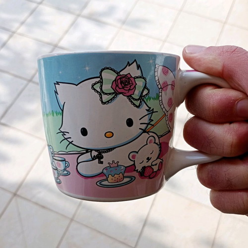 Charm My Kitty mug used