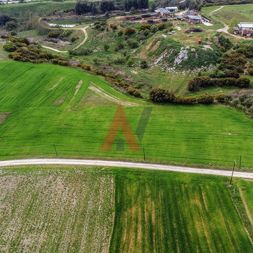 Buildable agricultural land 15,000 m² in Scholari Thessaloniki