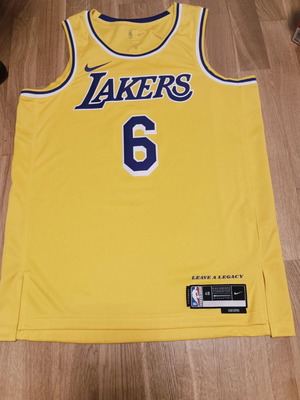 Lebron μπλούζα Λος Άντζελες Λέικερς Icon Edition 2022/23 ανδρική Nike Dri-FIT NBA Swingman καινούργιο