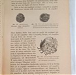  Εγχειρίδιον Μικροβιολογίας 1914