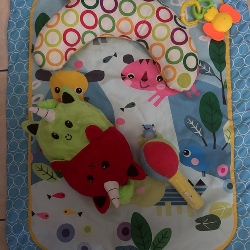 Baby activity mat and pillow like new with soft toys