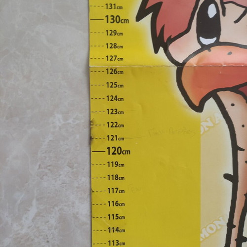 Strousy height chart used, paper, 98cm x 32cm