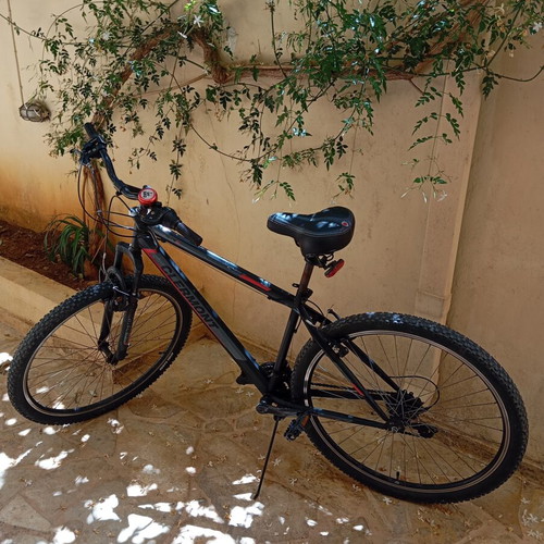 Clermont 29" Mountain Bike like new, 18-speed, front and rear lights