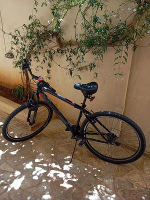 Clermont 29" Mountain Bike like new, 18-speed, front and rear lights