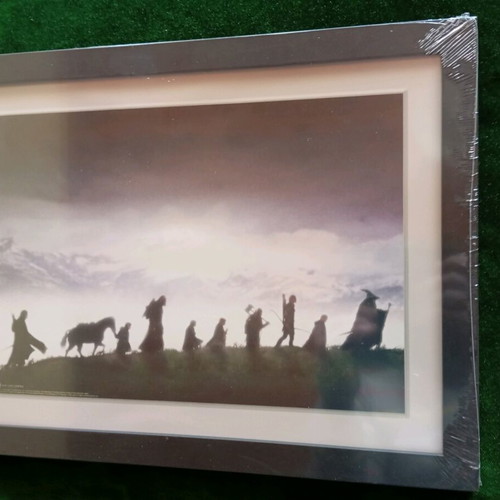 The Fellowship of the Rings frame new, size 30.5 x 40.6 cm