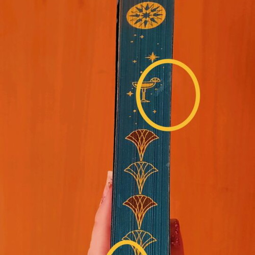 The Alchemy of Secrets book new