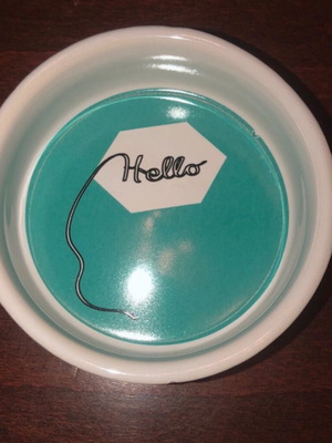 Ceramic Bowl for Troktika