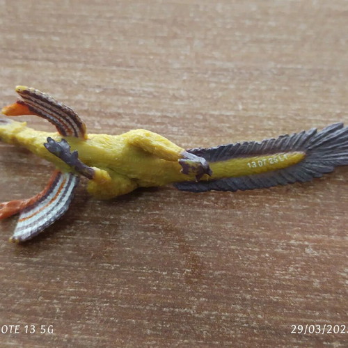 Hesperonychus elizabethae figure rare 10cm length like new