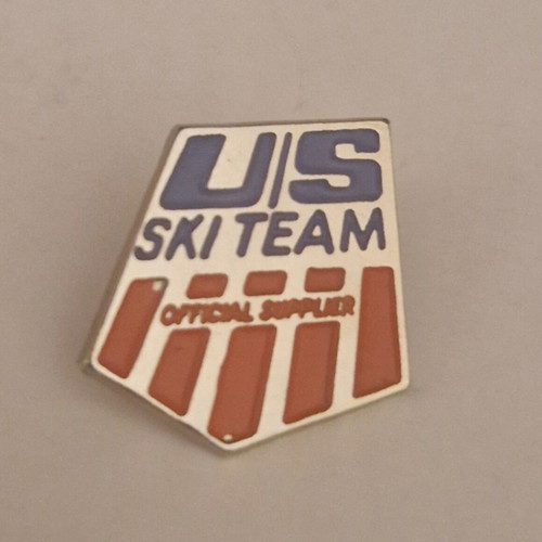 Pin brooch