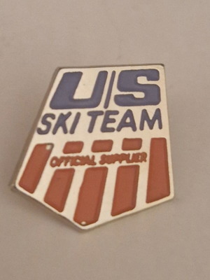 Pin brooch