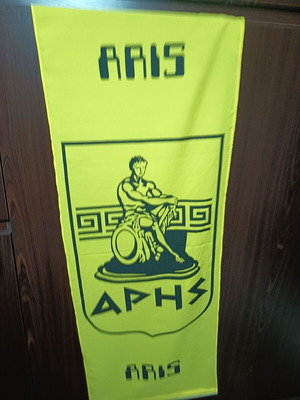 Aris large banner