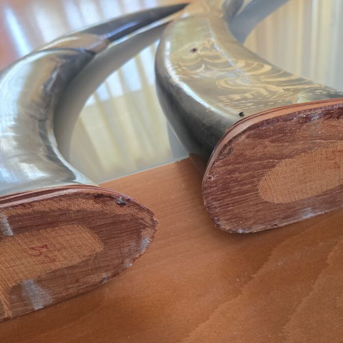 Wooden decorative horns with dragons set of 2 used