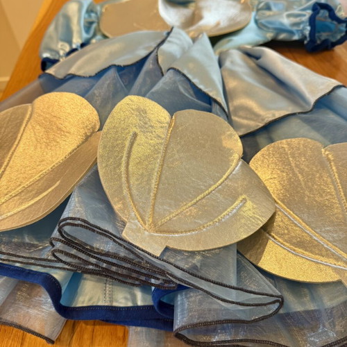 Shell carnival costume for girls like new, age 5-7