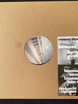 David Günther & Stranéus Lemonad Hissmusik vinyl record used, house