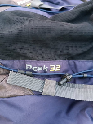 Salewa peak 32