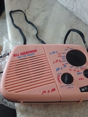 Portable radio new