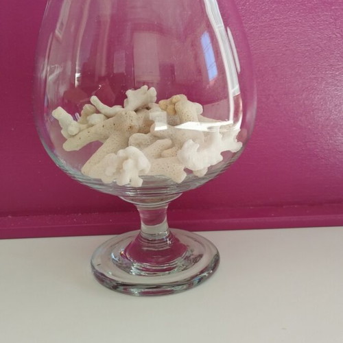 Various corals in a glass