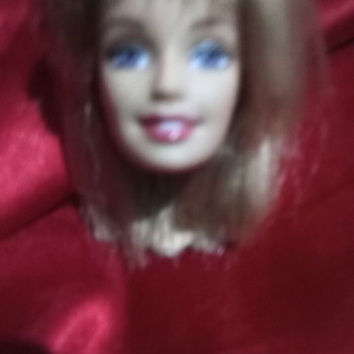 Barbie head used, collector's item