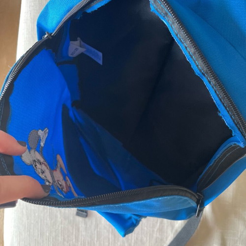 Children's backpack boy Nikolas new with Mickey embroidery