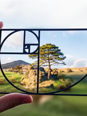 3 Photography Composition Rules Made to Order