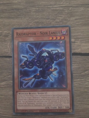 Raidraptor - Noir Lanius Yu-Gi-Oh! card