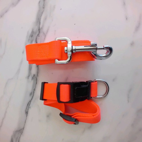 Leash collar set new, 2.5 cm width, adjustable for large dogs