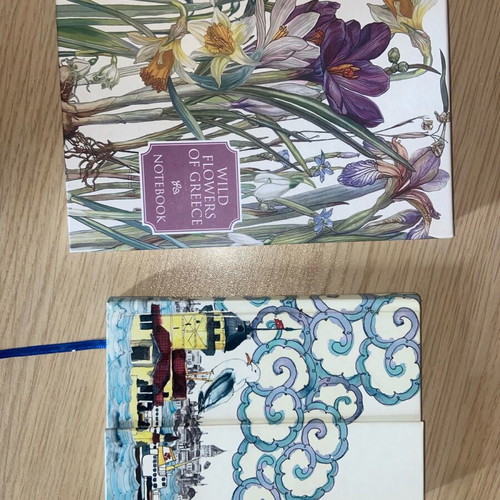 Notebooks new with white pages