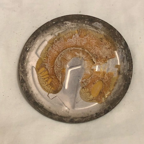 VolksWagen VW emblem used