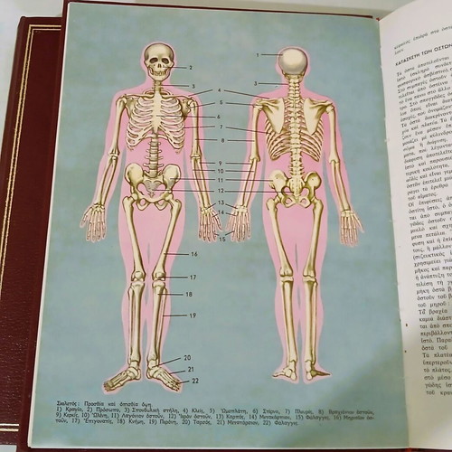 Medical Encyclopedia Complete Set of 3 Volumes, New
