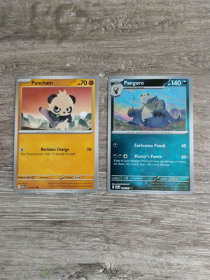 Pokemon TCG Pancham & Pangoro κάρτες σαν καινούργιες από Ascended Heroes