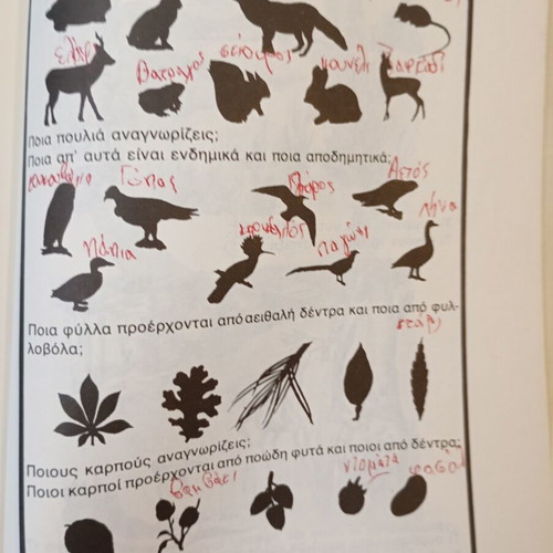 Plants and Animals of Our Homeland 4th Grade Used Textbook
