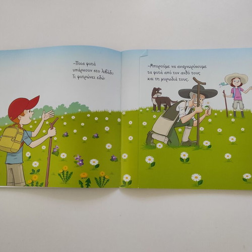 The Meadow children's book like new