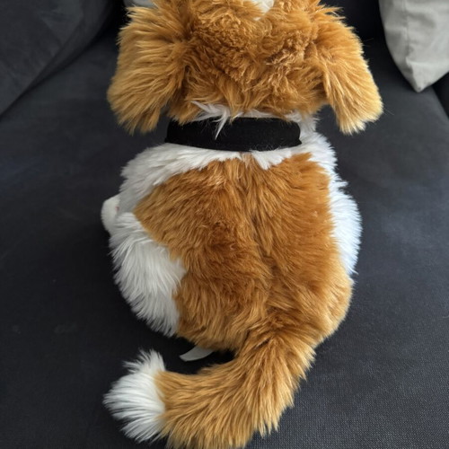 Barry Wonderful Singing Plush Dog used, Saint Bernard