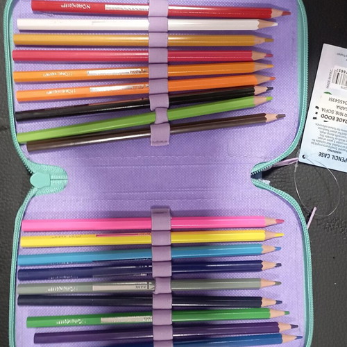 Frozen triple pencil case new, filled