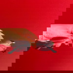  γυαλια ηλιου