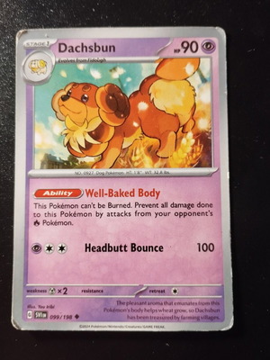 Pokemon Dachsbun Stage 1 card 2024