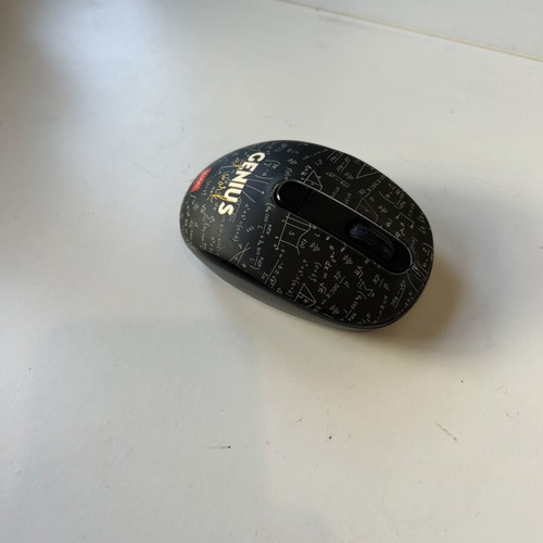 Mouse in excellent condition