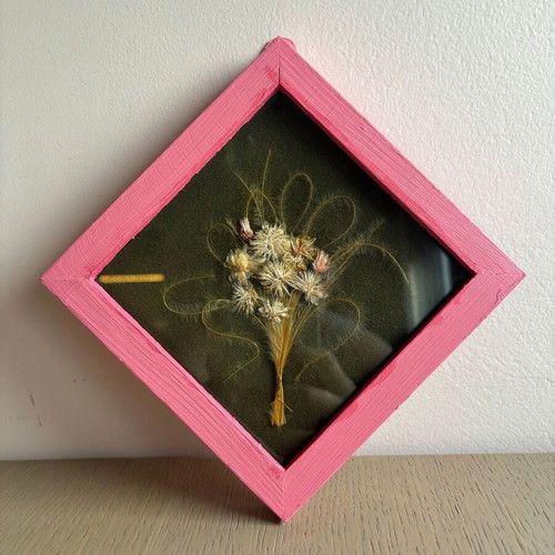 Herbarium used, framed picture with glass