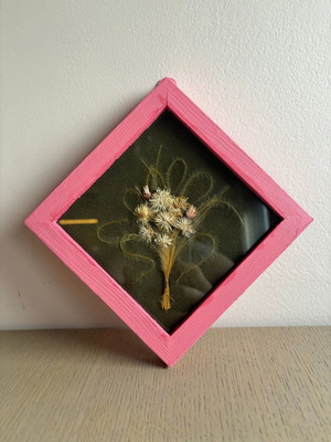 Herbarium used, framed picture with glass