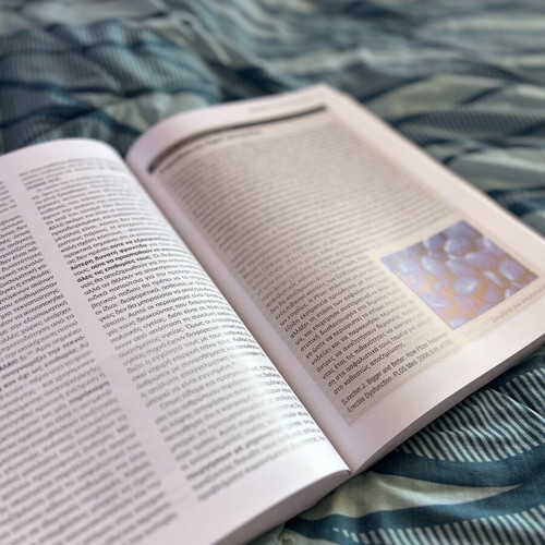 Basic Bioethics book new, Greek edition