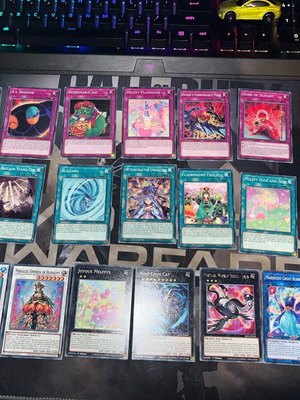 MP21 1st Edition Collection like new