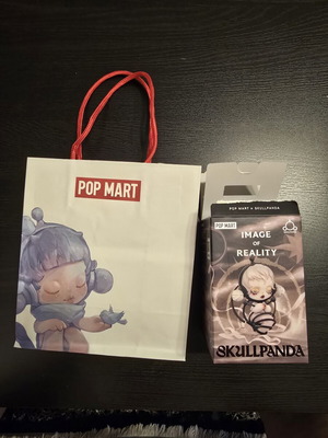 Pop Mart Skullpanda The Timelapse figure N8/12